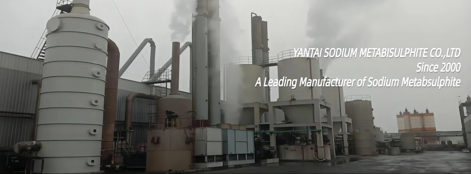 qualité Catégorie du métabisulfite de sodium usine